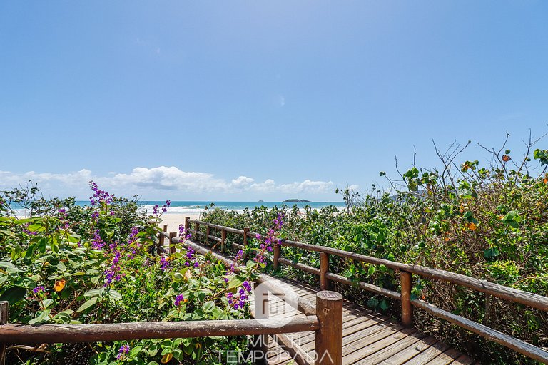 Incrível pé na areia frente mar - ZV01G