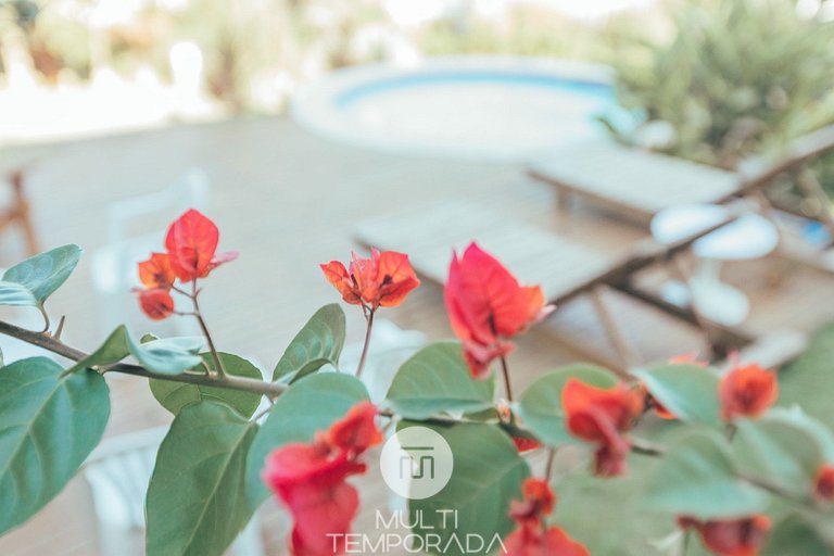 Apus (Chalé Família com Jacuzzi) - Ibiraquera