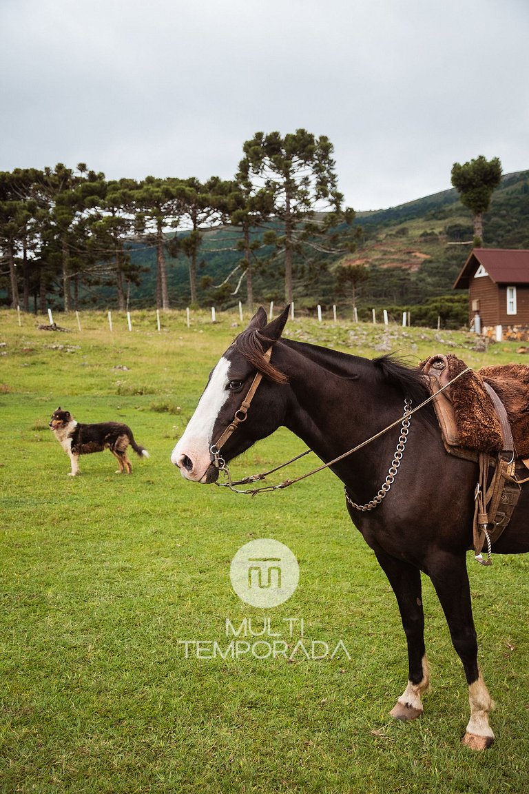 Cabana Recanto das Águas 02 - Urubici