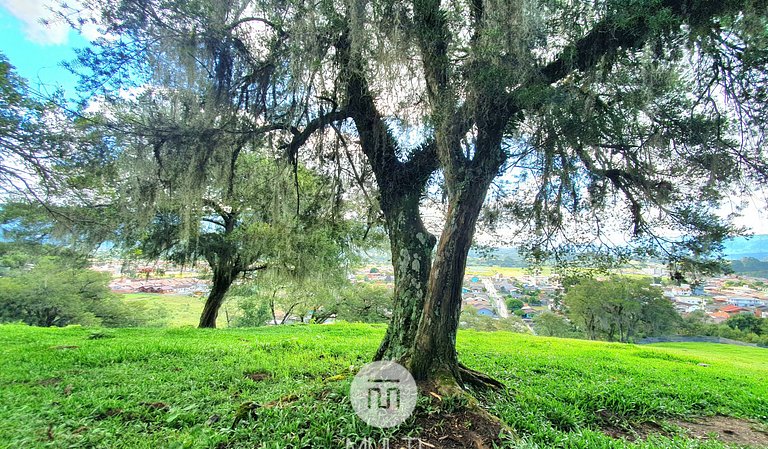 House Canto Lindo corner of the trees