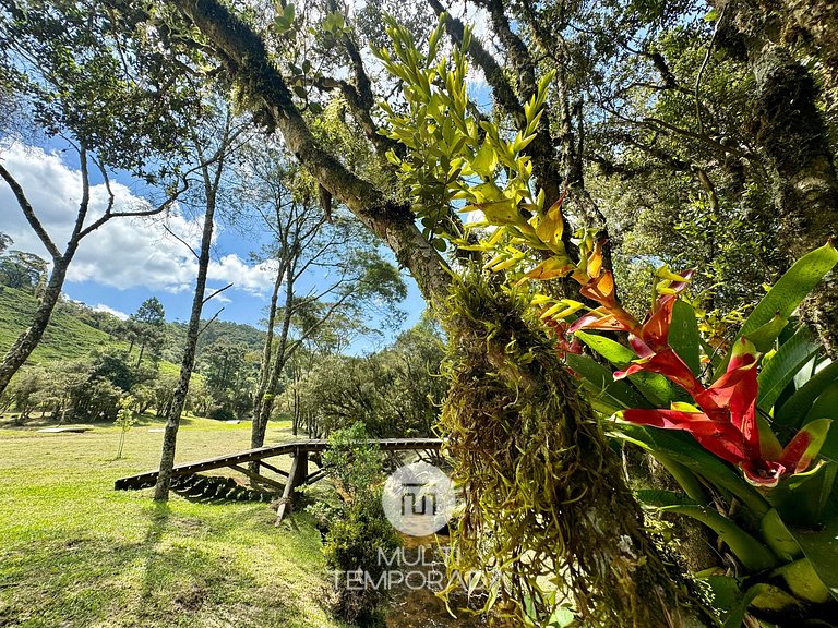Galpão Country - Vila Vert - Rancho Queimado - SC