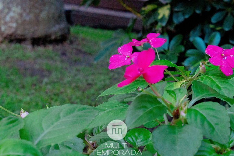 Suite Pimenta Rosa - Quinta da Margem (S3)