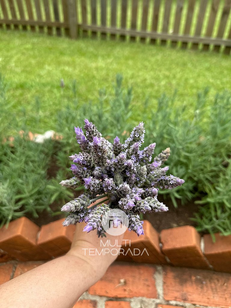 AquaTour - SpaBus - Capinzal - SC