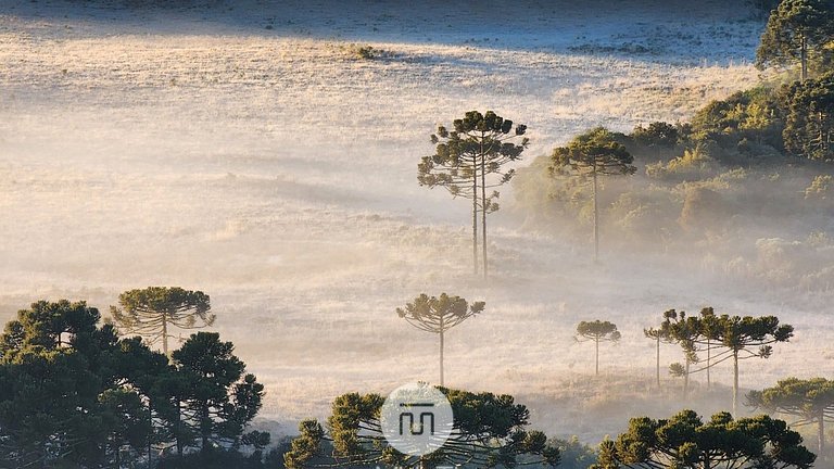 Refúgio dos Lobos 01 ao Lado de Alfredo Wagner/SC