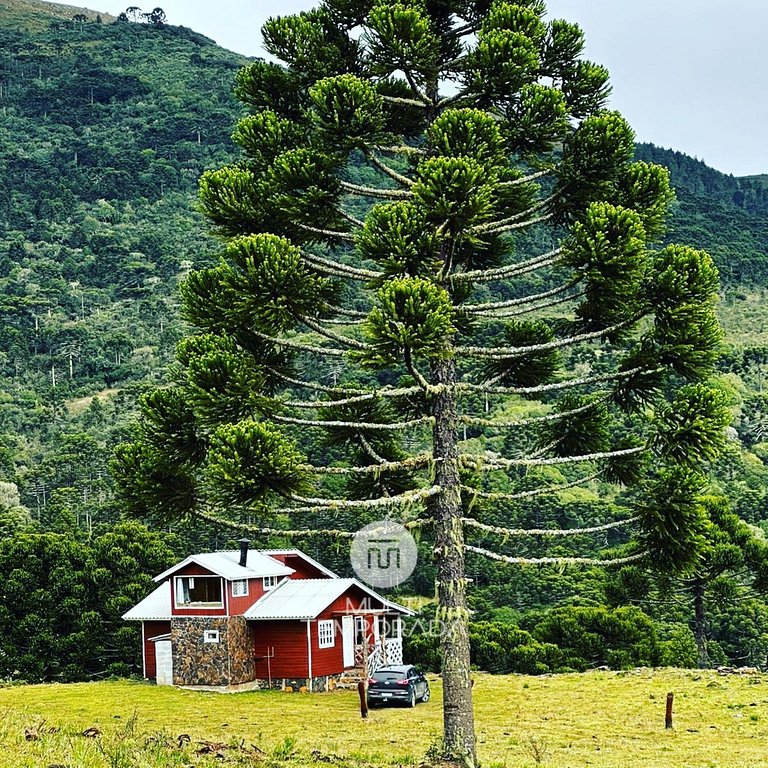 Cabana Chapéu de Palha - Villa das Araucárias
