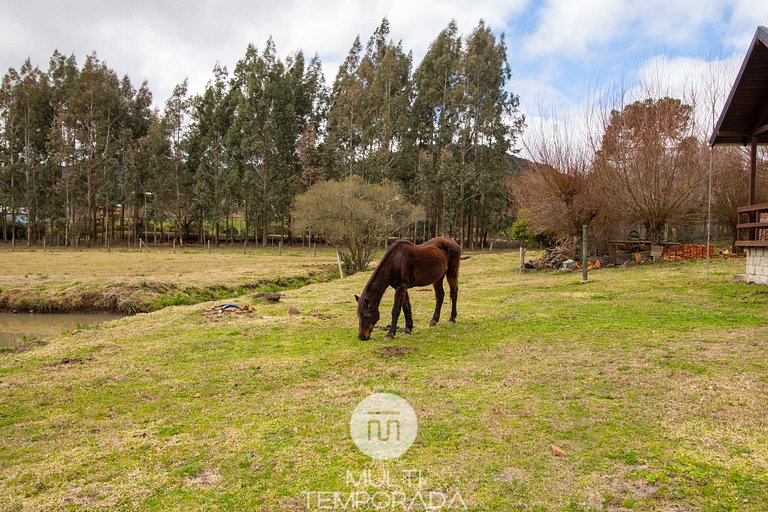 01 - Cabana Da Neblina - Urubici/SC