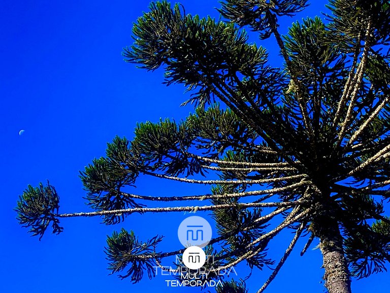 Silver Dream Tiny House - Rancho Queimado/SC