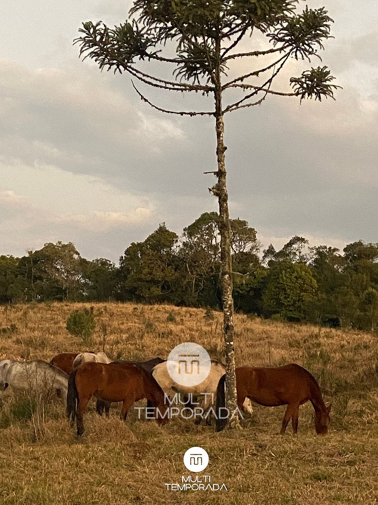 Silver Dream Tiny House - Rancho Queimado/SC