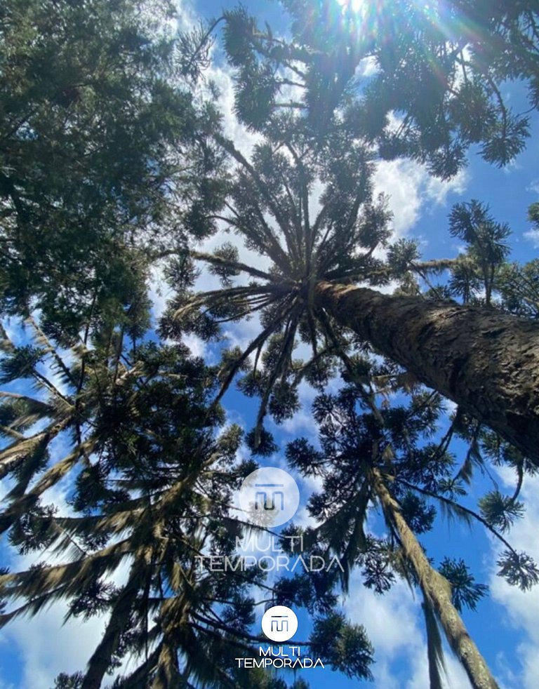 Silver Dream Tiny House - Rancho Queimado/SC