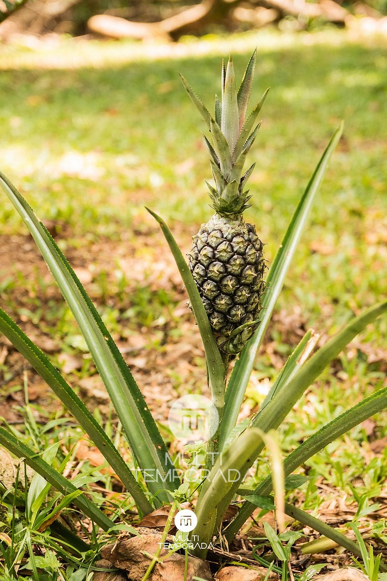 Cabana da Vovó Cida - SJ Batista/SC