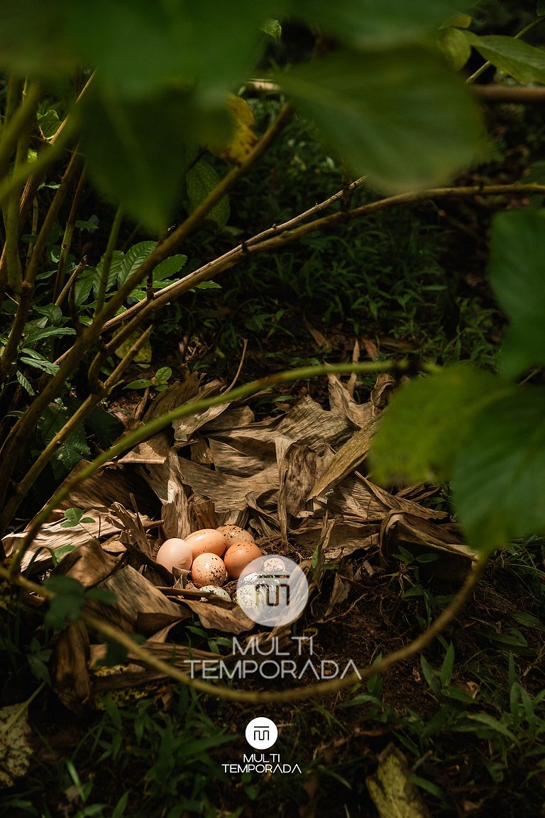 Cabana da Vovó Cida - SJ Batista/SC