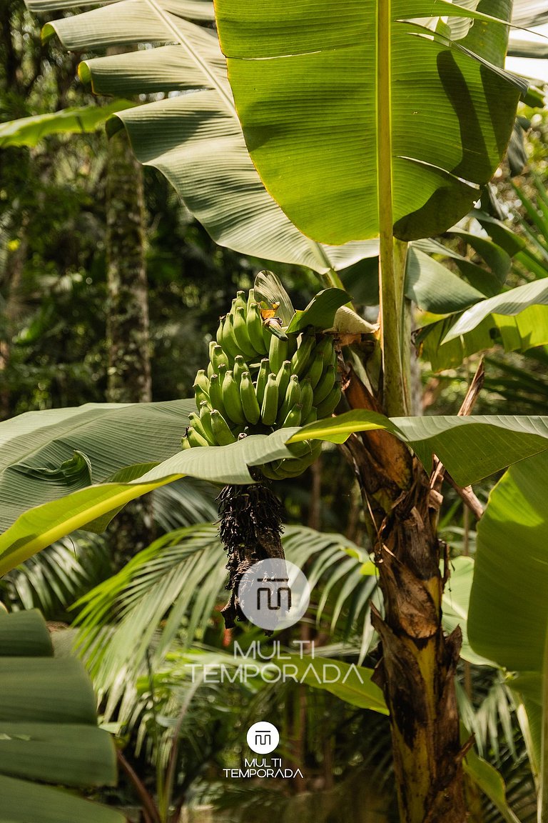 Cabana da Vovó Cida - SJ Batista/SC