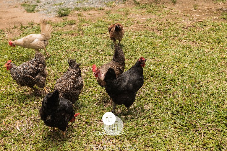 Cabana da Vovó Cida - SJ Batista/SC