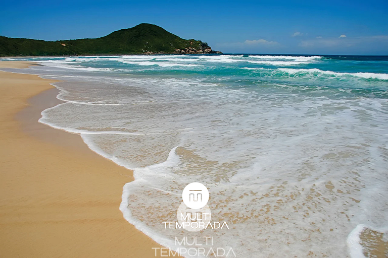 Casa Rosa Beat – No Coração do Rosa