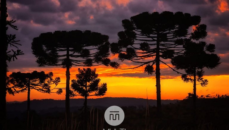 Sitío Rústico do Zizo - Angelina/SC