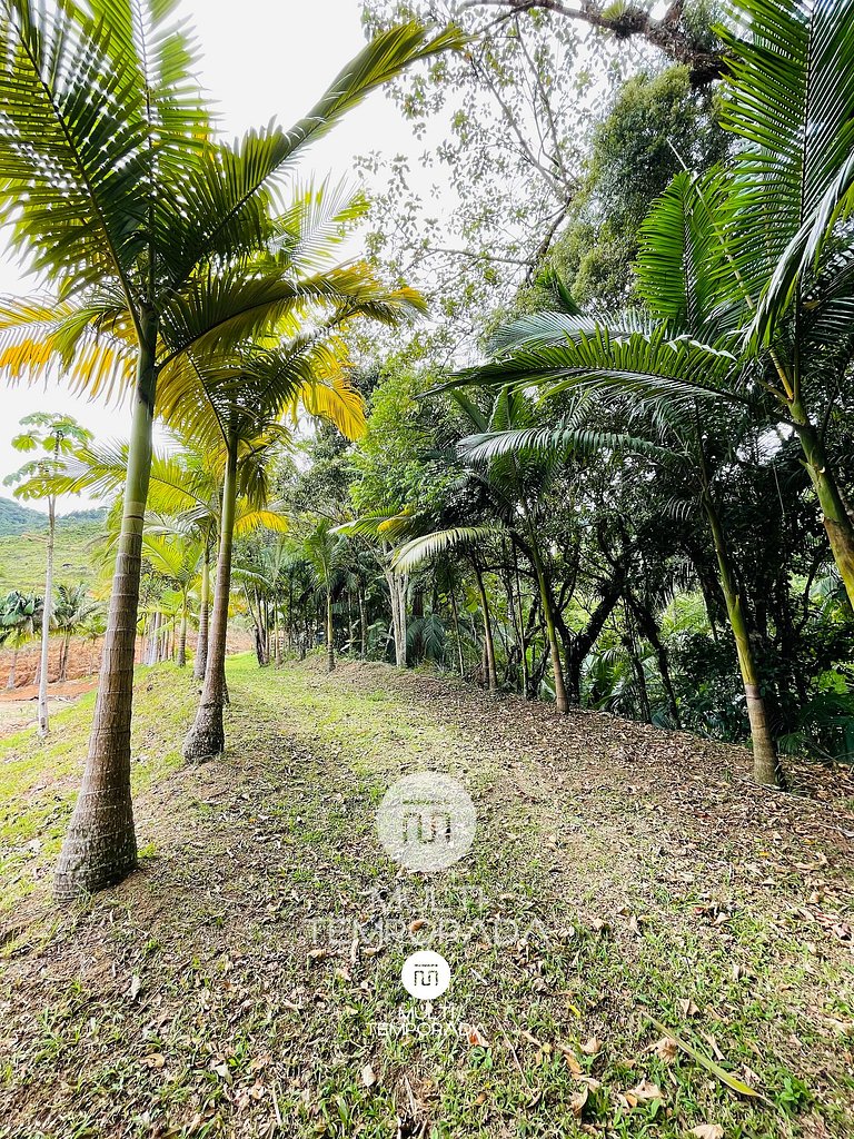 Sítio Moderno do Zizo - Angelina/SC