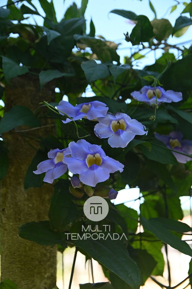 Sítio Simon - Imbituba/SC