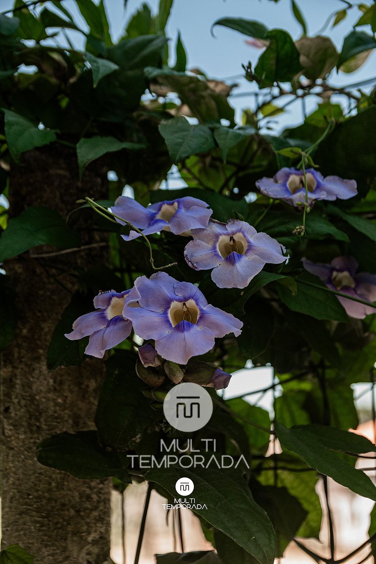 Sítio Simon com Piscina Privativa - Imbituba/SC