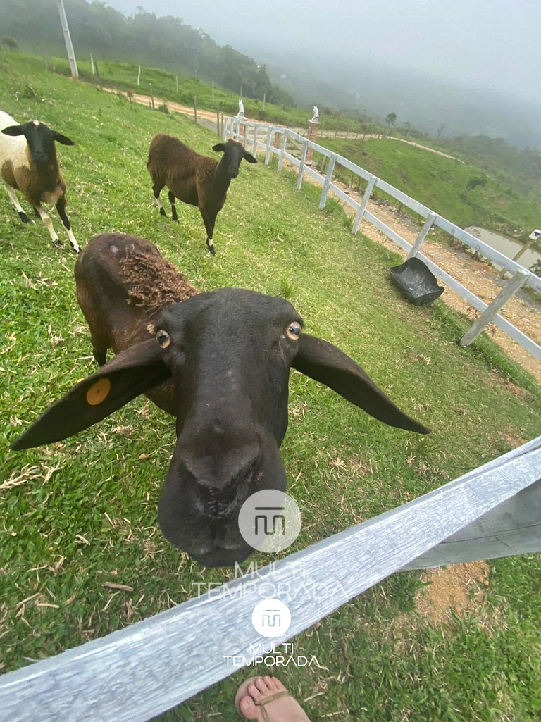 Rancho Sol Poente - Rancho Queimado - SC