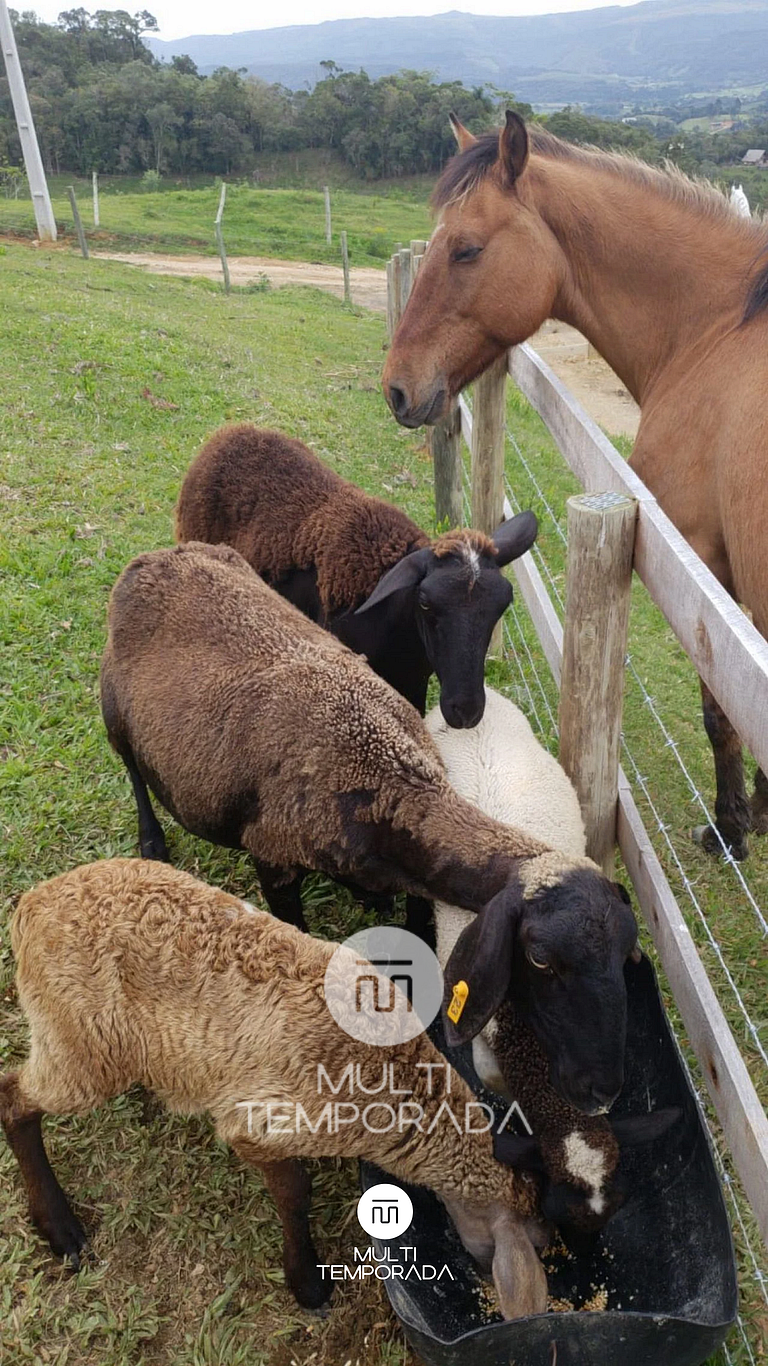 Rancho Sol Poente - Rancho Queimado - SC