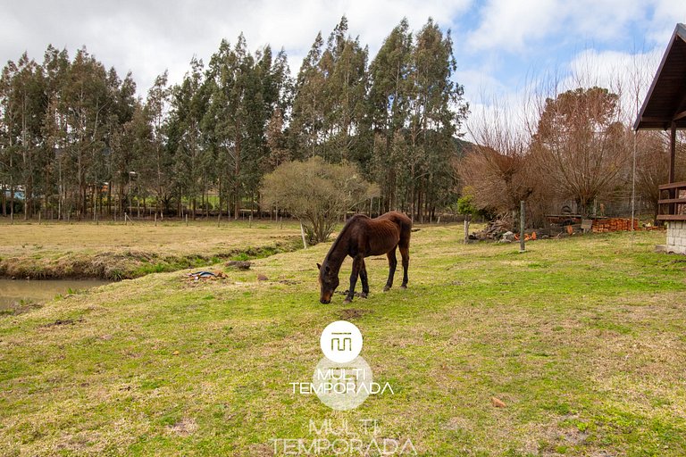 01 - Cabana Da Neblina - Urubici/SC