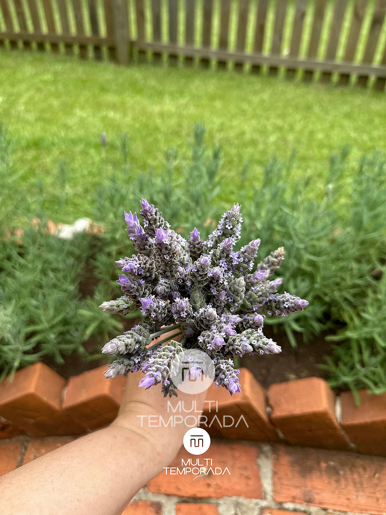 AquaTour - SpaBus - Capinzal - SC