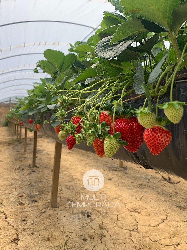 Chalet path of the sun - 2