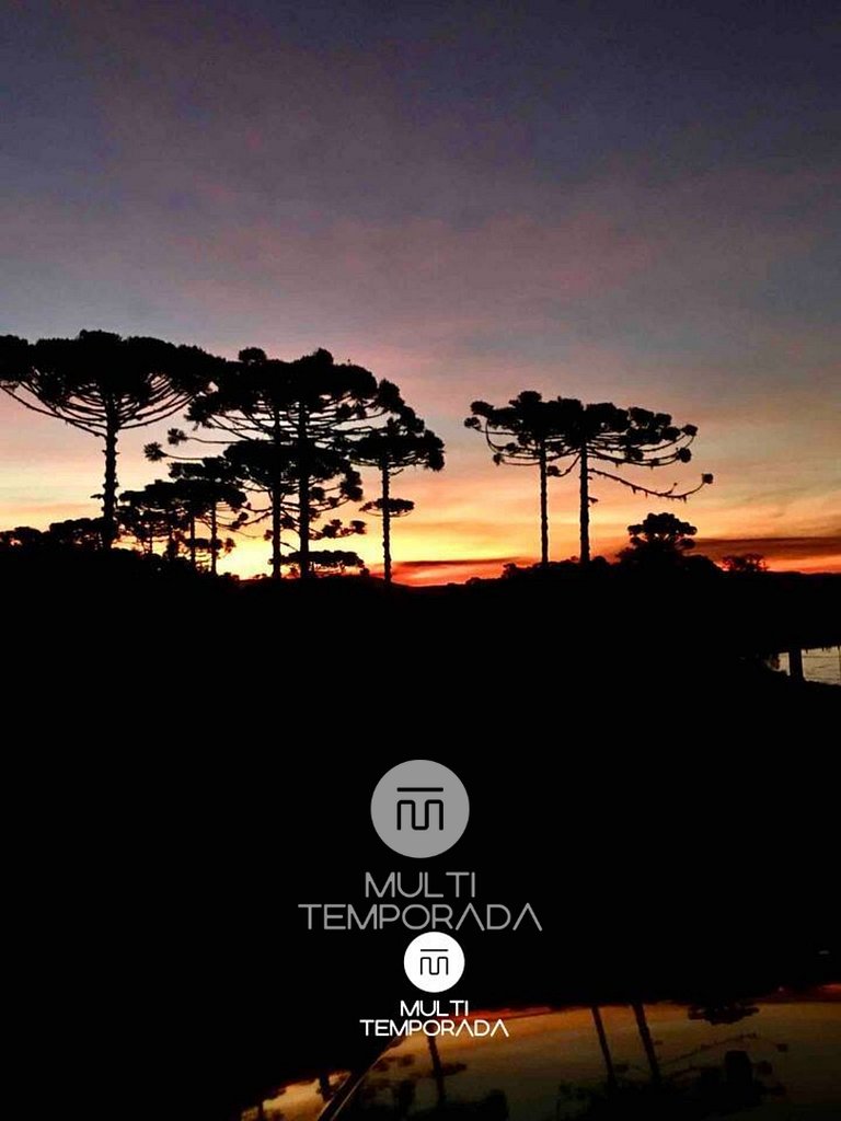 Linda Casa em Estilo Germânico em Rancho Queimado