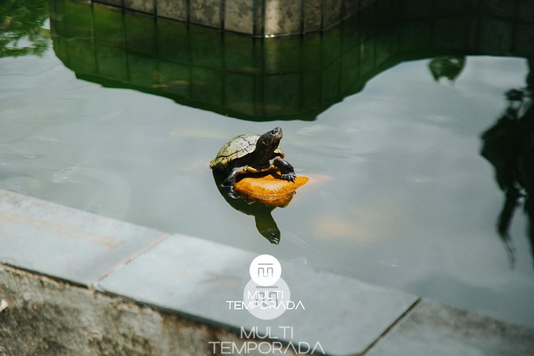 Chácara 3 Poderes Piscina - 60 pessoas - Guararema