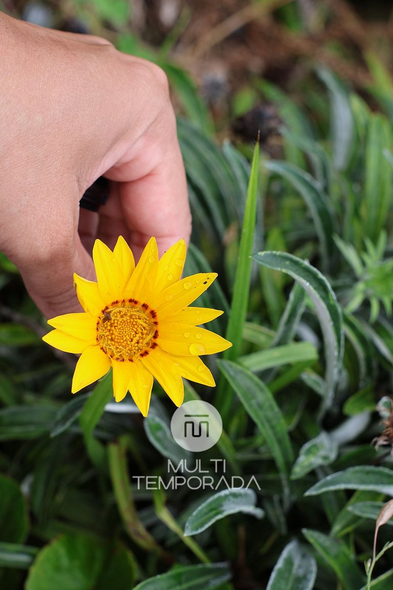Refúgio Master C/ Banheira na Serra da Tartaruga