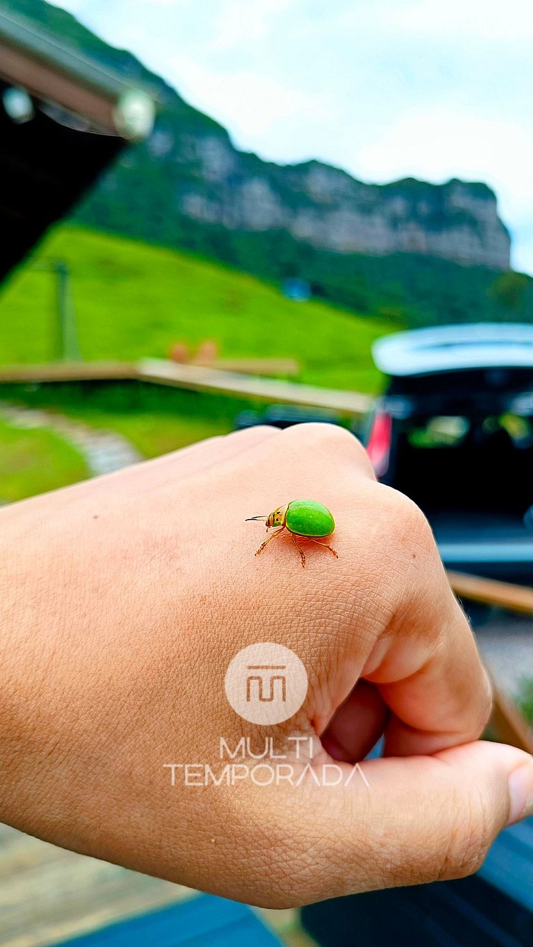 Refúgio Master C/ Banheira na Serra da Tartaruga