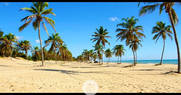 Suíte Quadrupla Superior Vista Mar-P. On the Beach