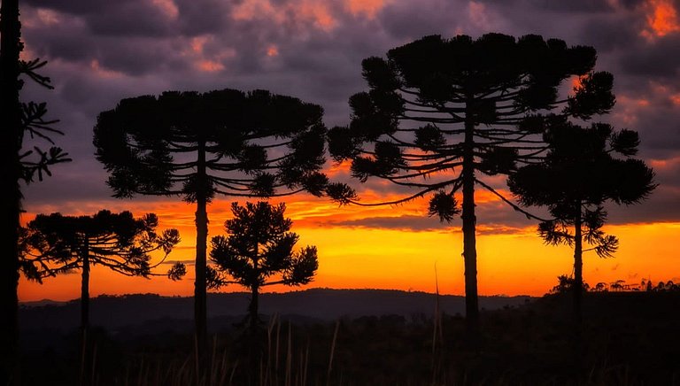 Aconchegante Chalé no Centro de Rancho Queimado/SC