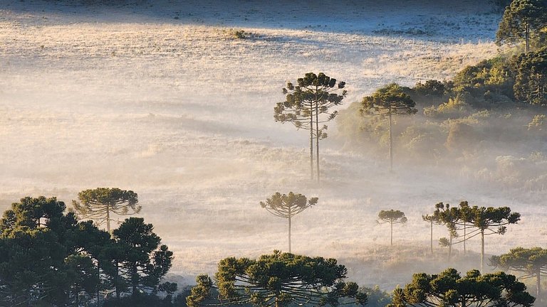 Sítio Conteiner do Mano - Águas Mornas/SC