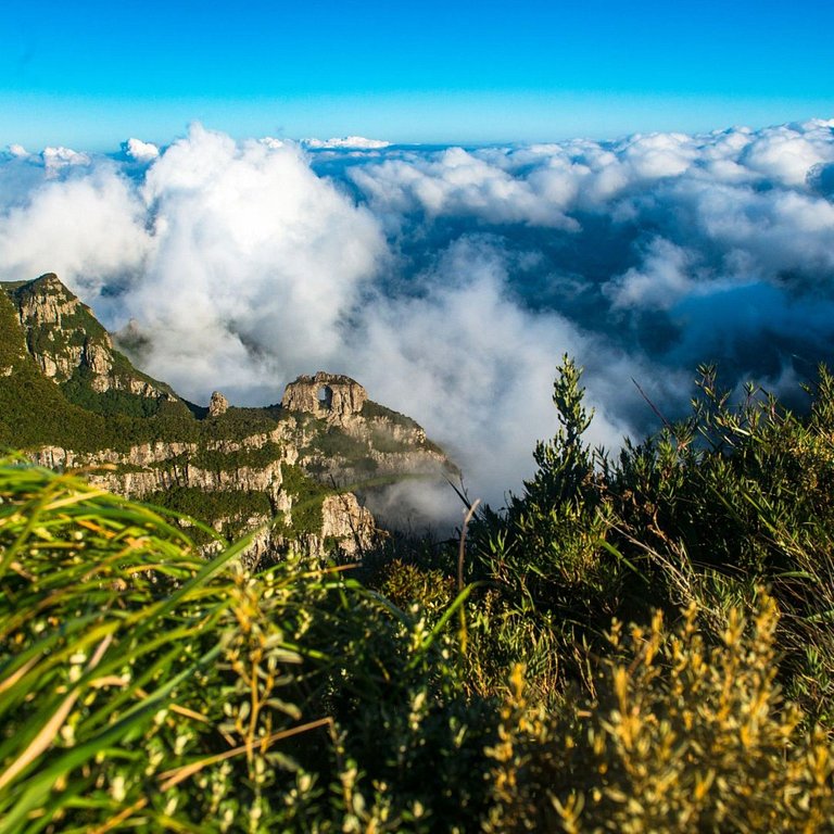 Sítio Conteiner do Mano - Águas Mornas/SC