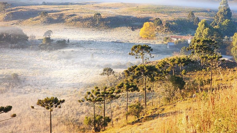 Sítio Conteiner do Mano - Águas Mornas/SC