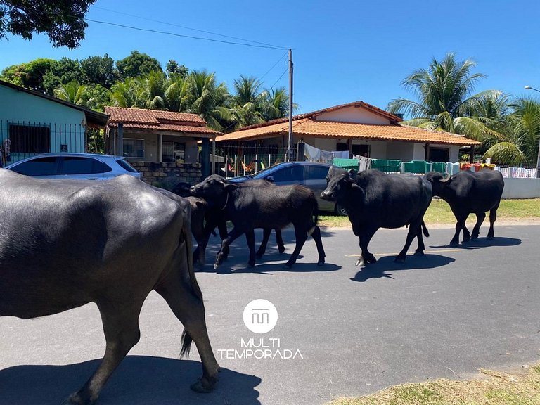Casa em Joanes a 80 mts da Praia - Joanes/PA