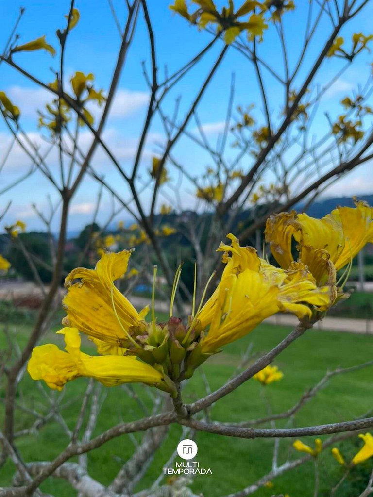 Chalé Sol da Invernadinha - Rancho Queimado/SC