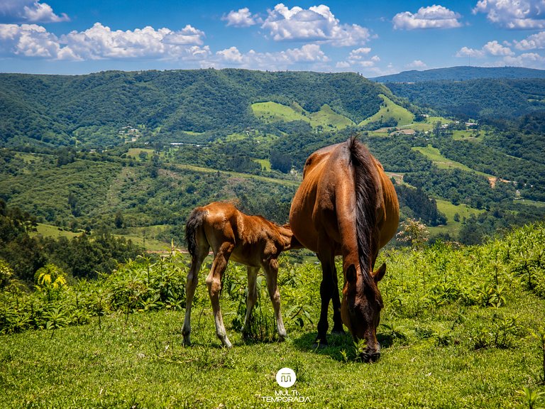 Rancho Sol Poente - Rancho Queimado - SC