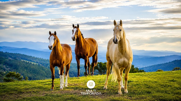 Linda Casa em Estilo Germânico em Rancho Queimado