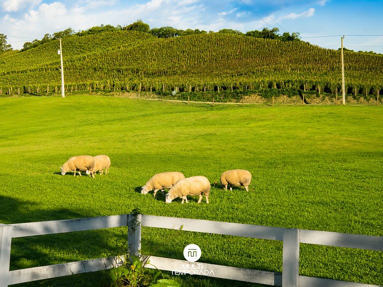 Linda Casa em Estilo Germânico em Rancho Queimado