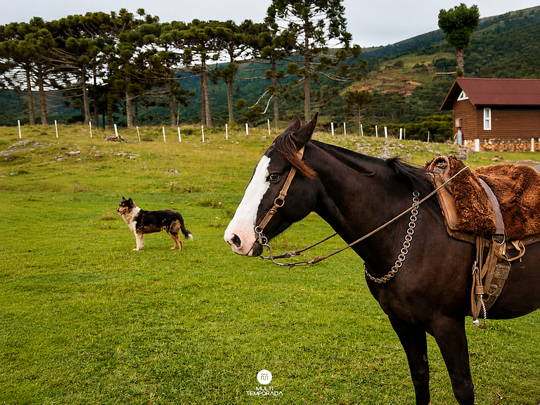 Cabana Recanto das Águas 02 - Urubici