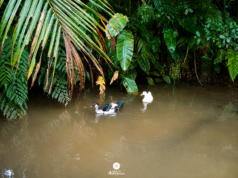 Cabana Ipê - Colina Verde Ecopark