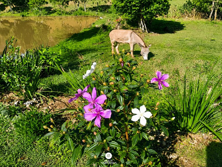 Cabana Ipê - Colina Verde Ecopark