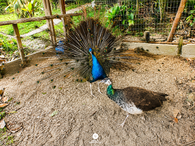 Cabana Ipê - Colina Verde Ecopark