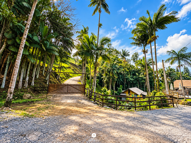 Cabana Dog´s Hill - Blumenau/SC