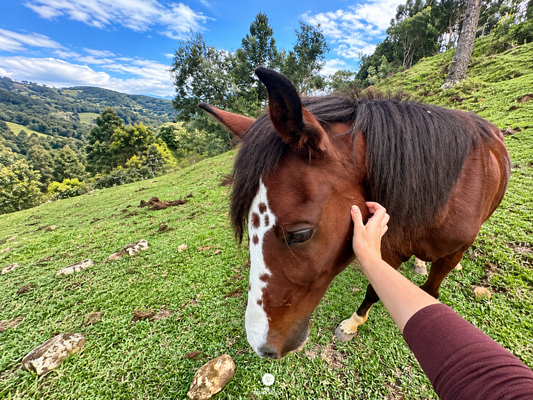 Sítio Recanto dos Amores - Rancho Queimado/SC